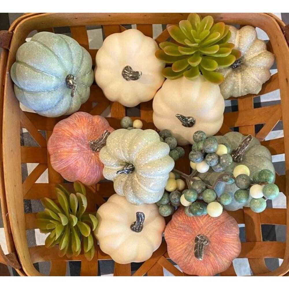 Fall Autumn Thanksgiving Gourds Succulents Pumpkin Bowl Fillers Berries Tabletop